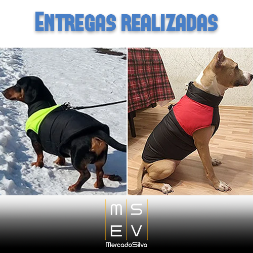 Colete Impermeável para Pets